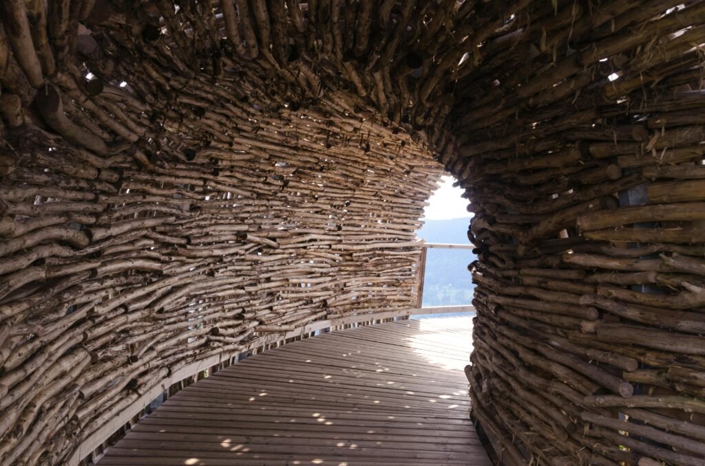 Explore this unique curved wooden structure with natural woven design and open space.